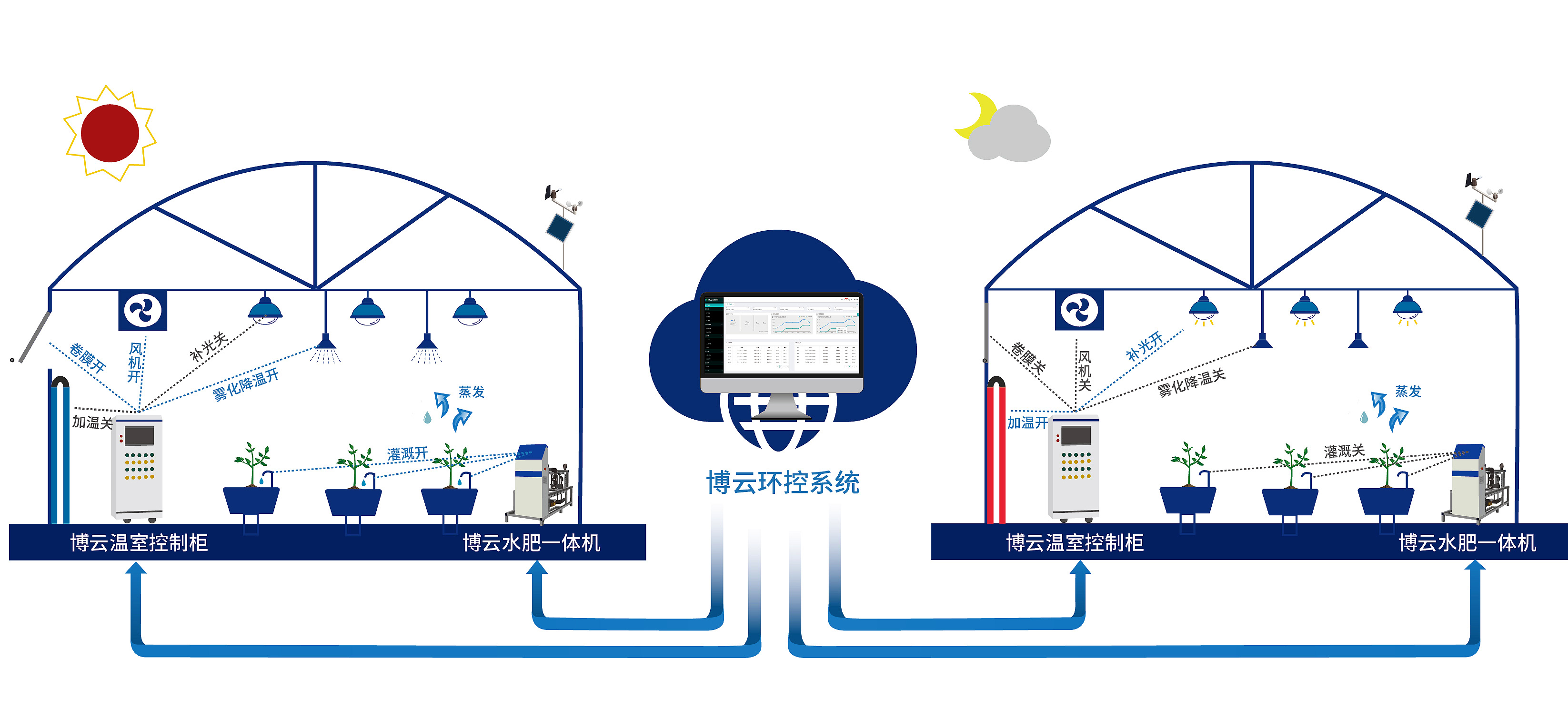 花卉水肥一体化.jpg